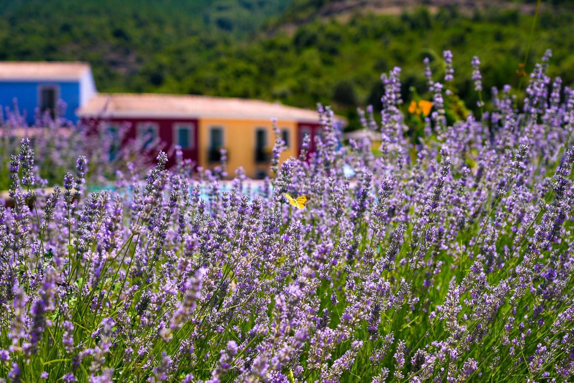 Eco Hotel Orlando Sardegna Villagrande Strisaili Dış mekan fotoğraf