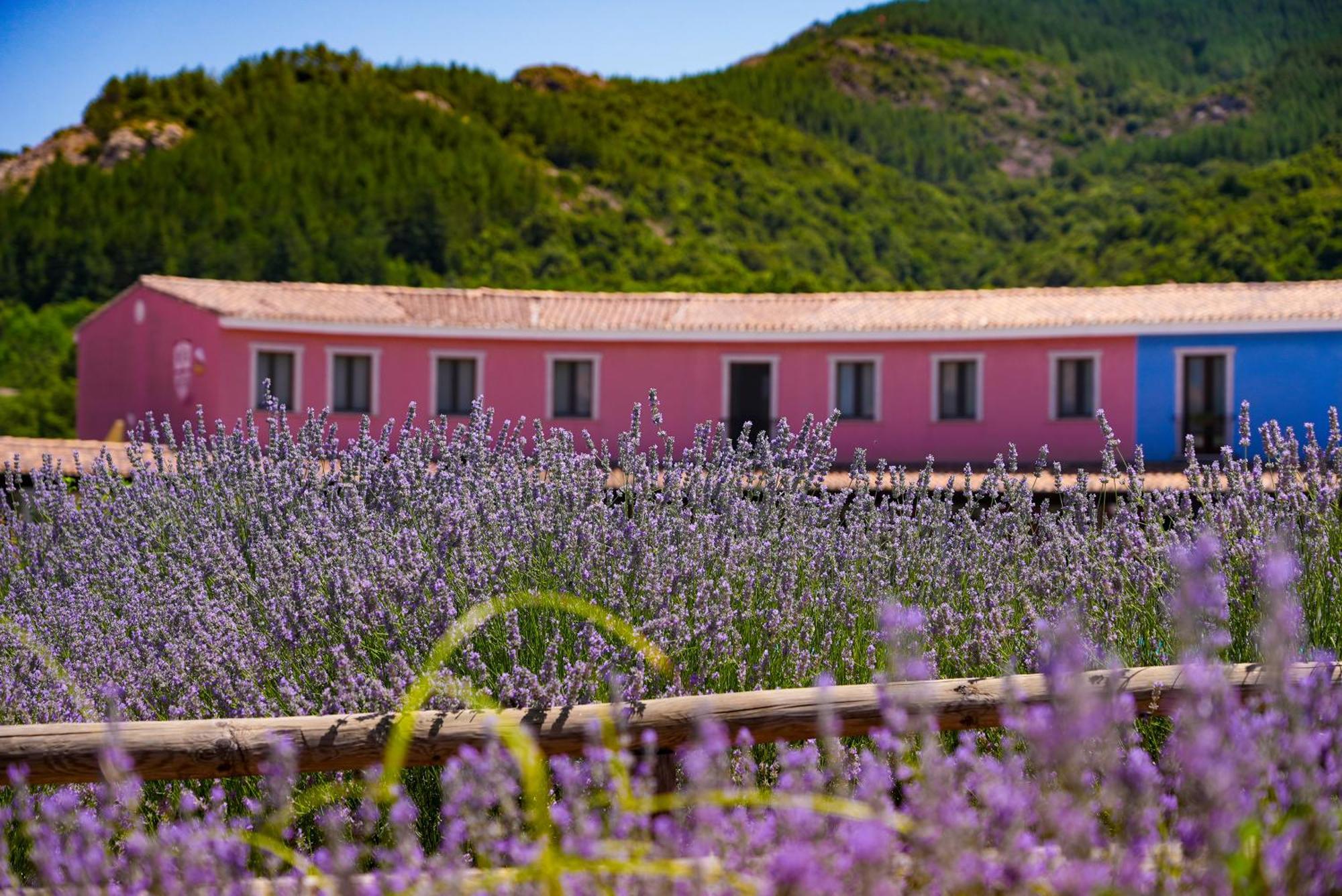 Eco Hotel Orlando Sardegna Villagrande Strisaili Dış mekan fotoğraf